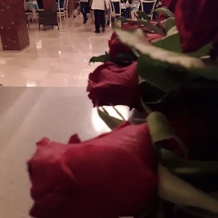 Prince Franklyn Hotel